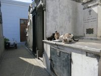 LR ARG-20130107-620 : Argentina