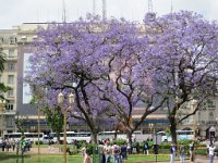 LR ARG-20130107-025 : Argentina