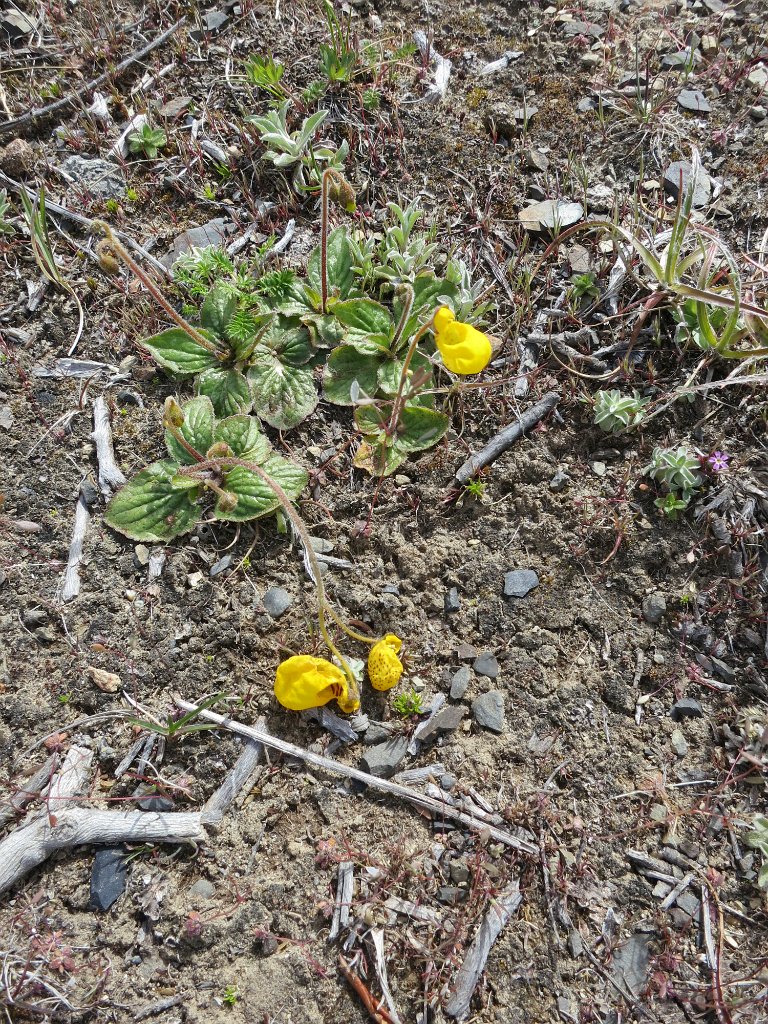 LR ARG-20130107-211
