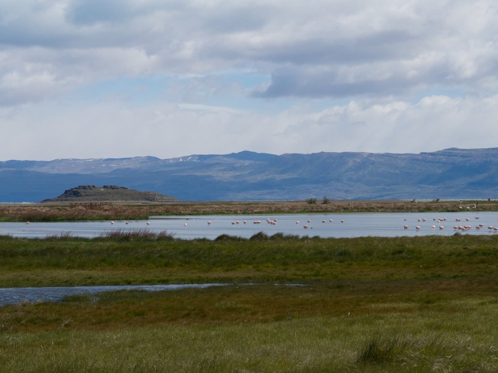 LR ARG-20130107-281