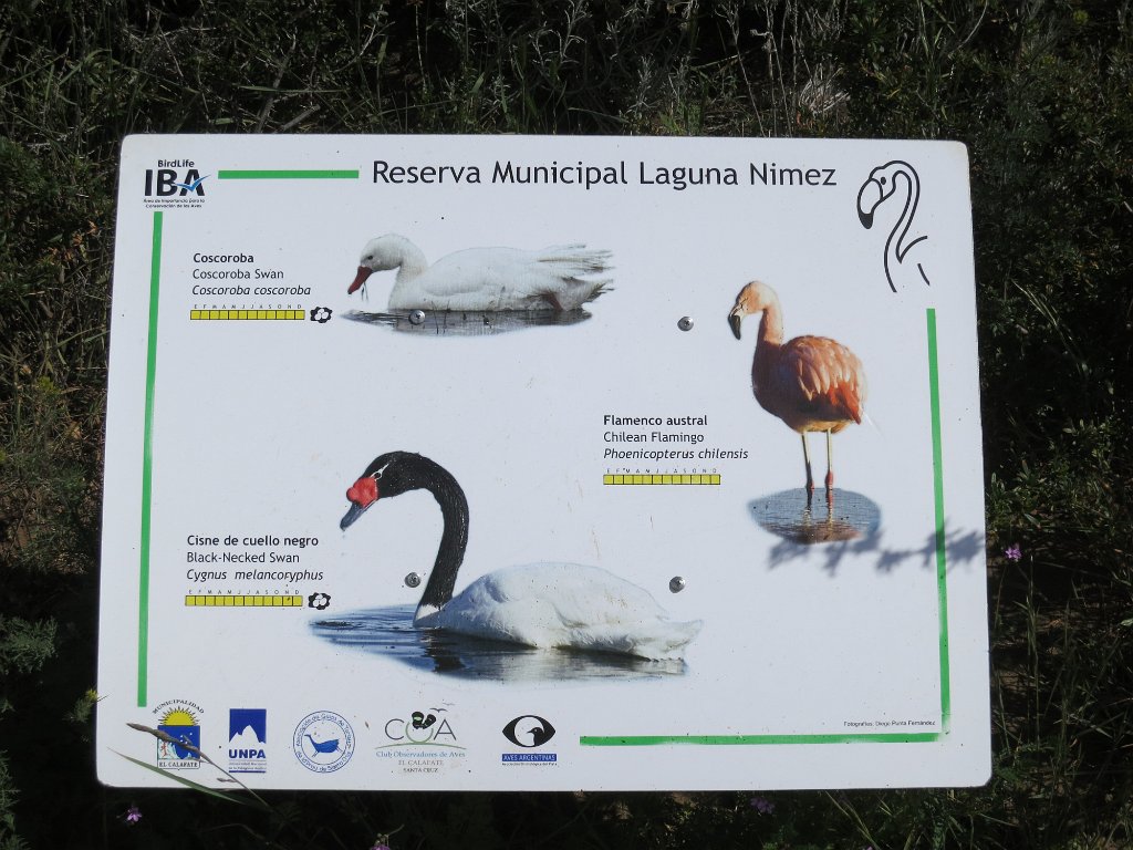 LR ARG-20130107-291