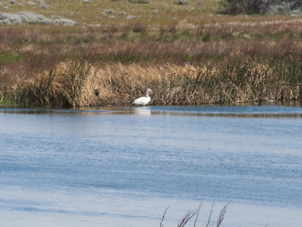 LR ARG-20130107-296