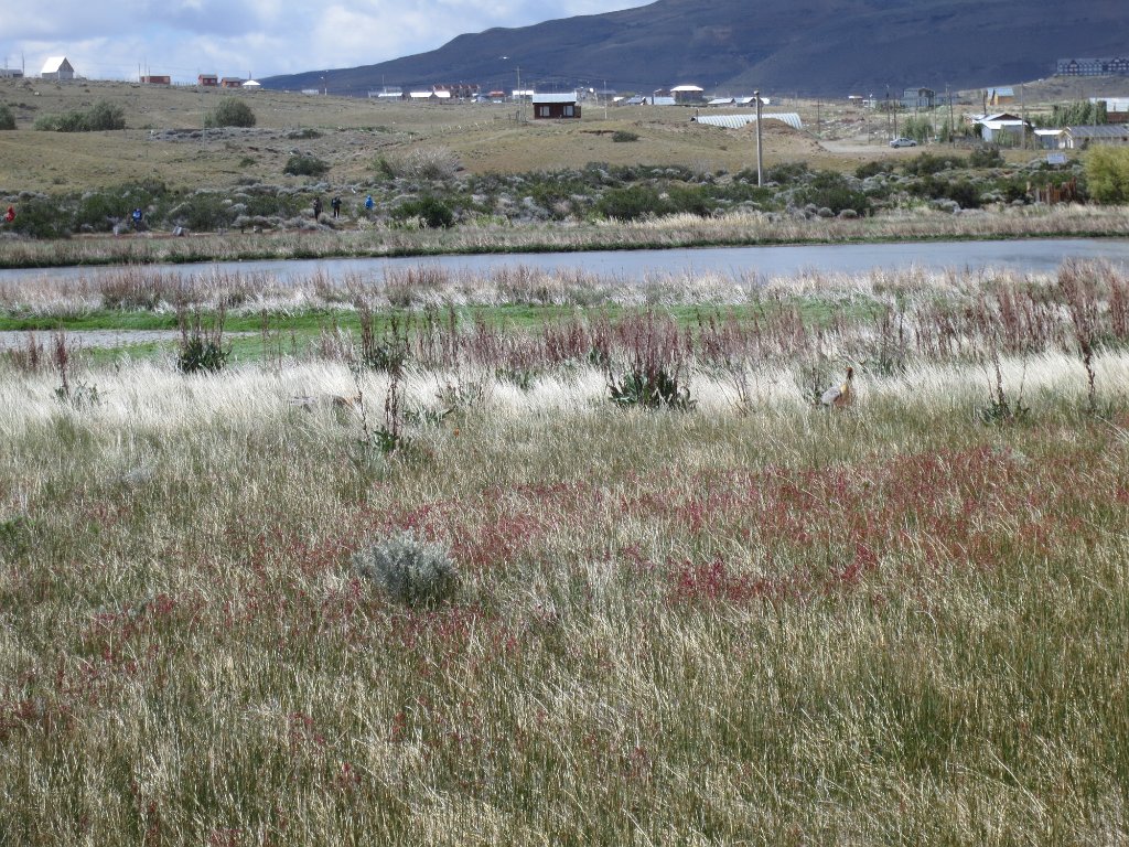 LR ARG-20130107-320