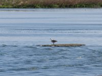 LR ARG-20130107-285 : Argentina