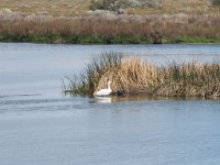 LR ARG-20130107-299 : Argentina