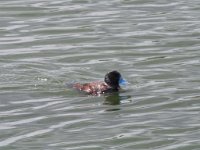 LR ARG-20130107-316 : Argentina