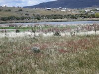 LR ARG-20130107-320 : Argentina