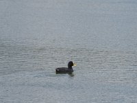 LR ARG-20130107-323 : Argentina