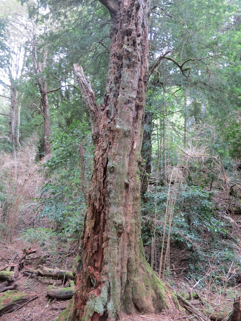 LR ARG-20130107-491