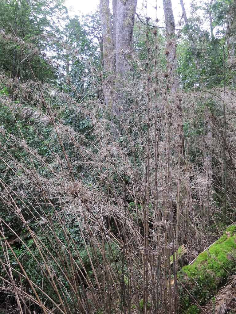 LR ARG-20130107-496