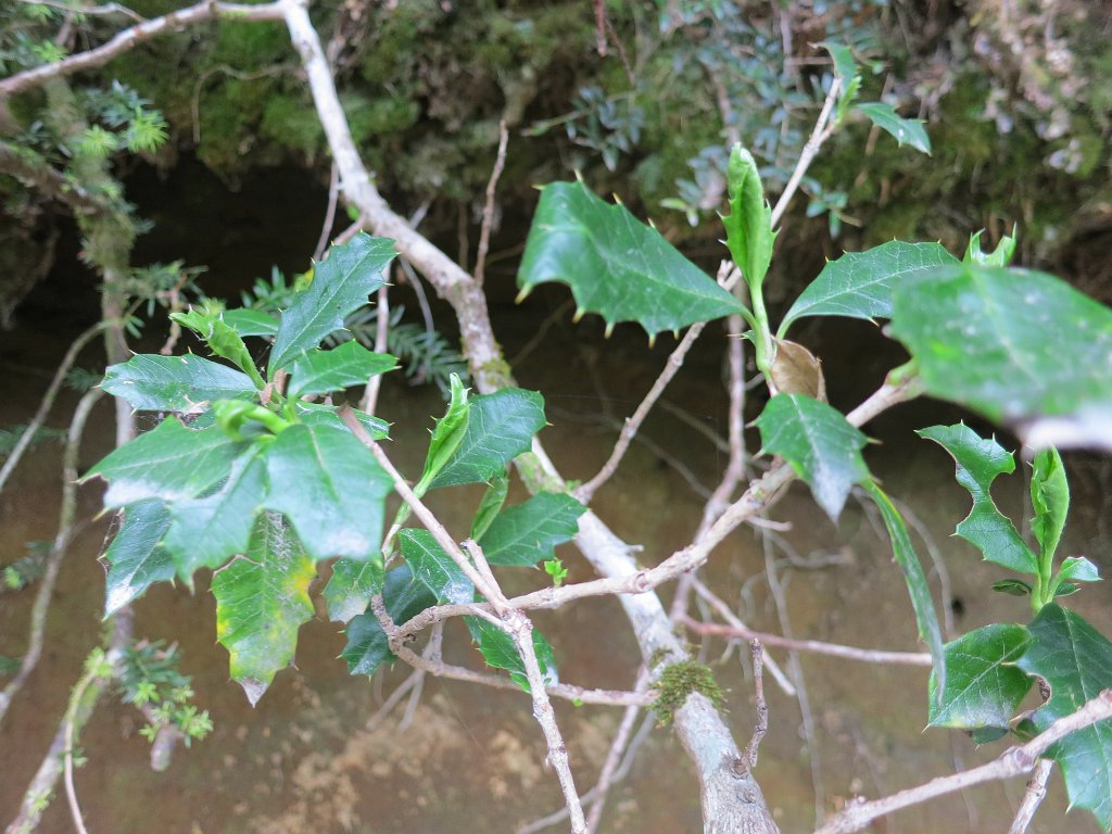 LR ARG-20130107-516