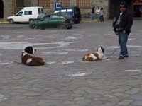 LR ARG-20130107-466 : Argentina