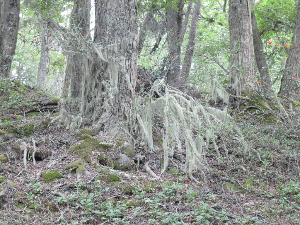 LR ARG-20130107-092