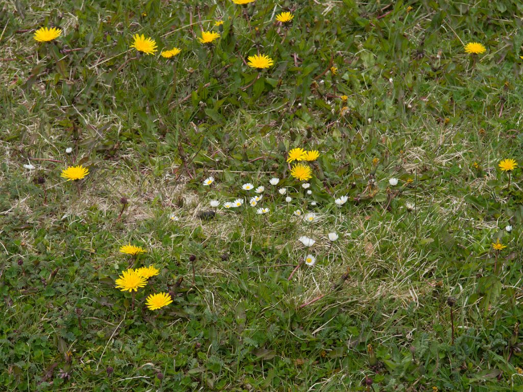 LR ARG-20130107-109