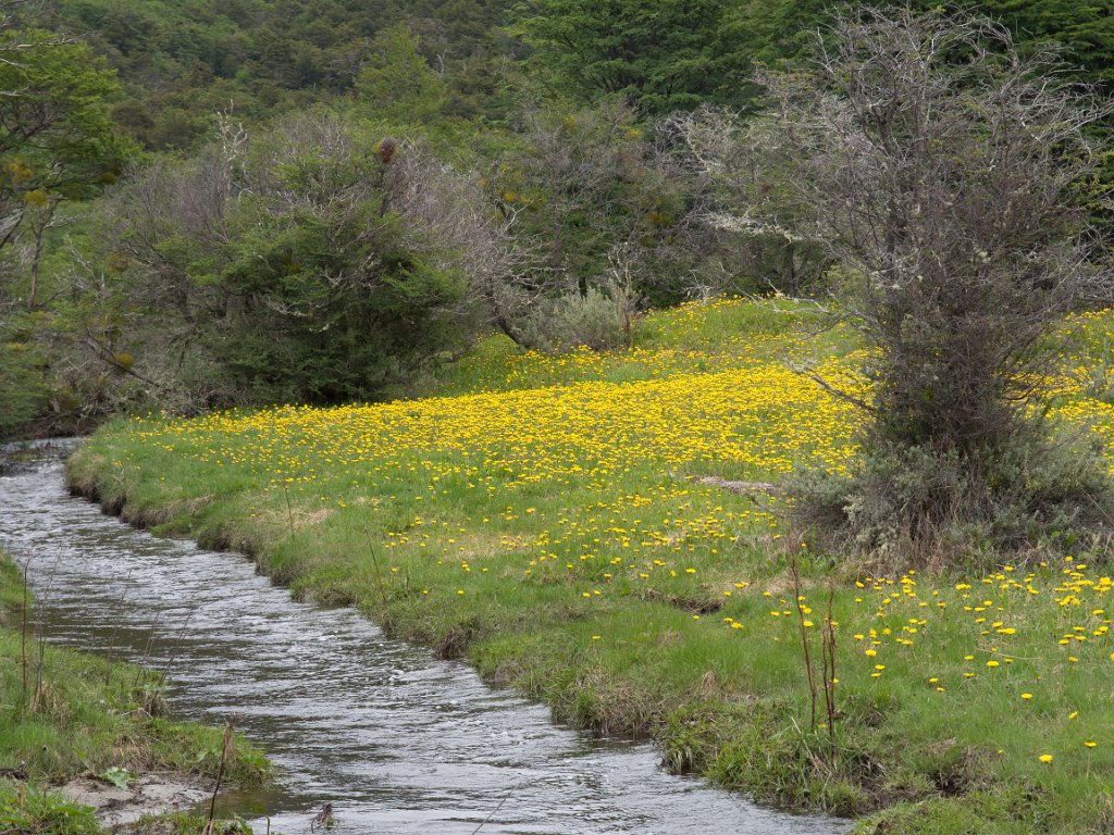 LR ARG-20130107-110