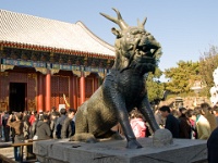 China 1019