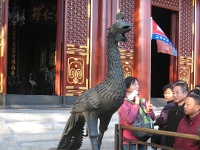 China 1028 : China Dziob