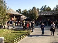 China 1036