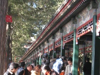 China 1066 : China Dziob