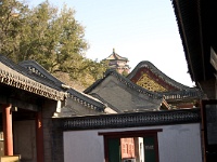 China 1110
