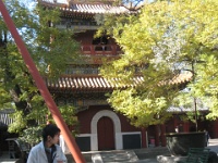 China 1123 : China Dziob