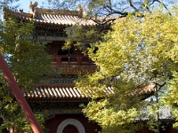 China 1124