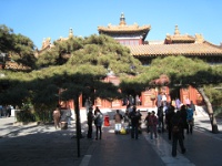 China 1133 : China Dziob