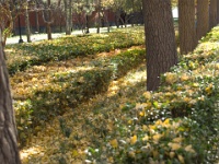 China 1140