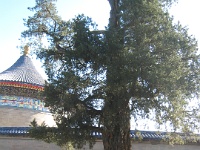 China 1173 : China Dziob