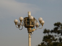 China 1238