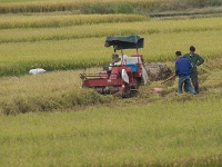 China 0038