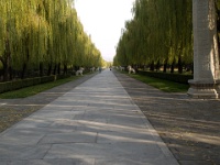 China 0829