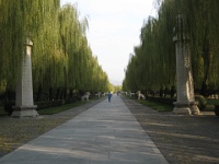 China 0830 : China Dziob