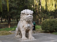 China 0831