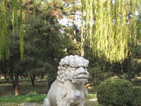 China 0833 : China Dziob