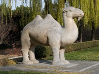China 0841