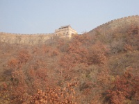 China 0922 : China Dziob