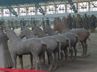 China 0542
