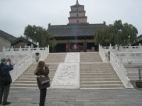 China 0776 : China Dziob