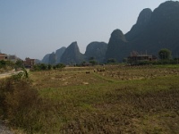China 0302