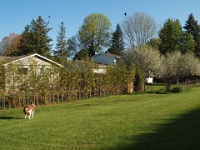 P5187898