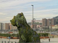 035_IMG_0273
