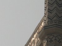 IMG 9517