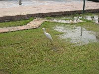 IMG 9549