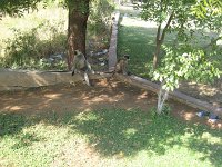 IMG 9250