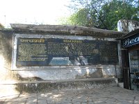 IMG 9235