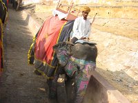IMG 9726