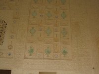 IMG 9791