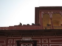 IMG 9820