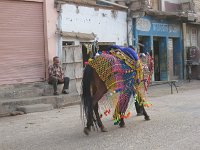 IMG 9979